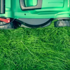 Zielona kosiarka stoi na gęstej, soczystej darni. Czas na koszenie!