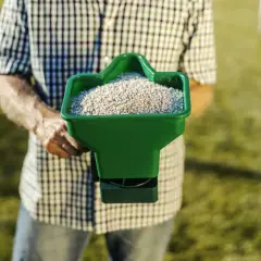 Mężczyzna w kratę trzyma zielony rozsiewacz z nawozem, gotowy do pracy. Dowiedz się, jak siać trawę na starym trawniku, by odzyskać jego piękno.