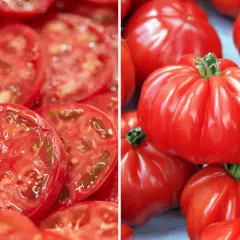 Plasterki soczystego pomidora Marmande obok całych, karbowanych owoców. Idealne do sałatek i kanapek.
