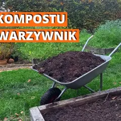 Ile kompostu do ziemi? Kluczowe wskazówki dla zdrowego ogrodu