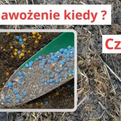 Nawóz Bontar kiedy stosować - najlepsze czasy na skuteczne nawożenie