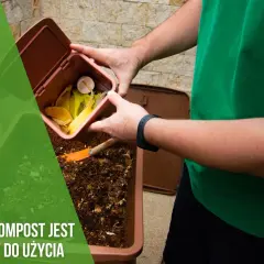 Kiedy kompost jest gotowy? Oto oznaki, które musisz znać