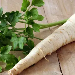 Pietruszka korzeń i zielone liście na drewnianym tle.