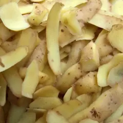 Obierki z ziemniaków, gotowe do kompostowania, staną się cennym nawozem dla roślin.