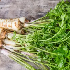 Jak uprawiać pietruszkę: proste sposoby na zdrowe zbiory w ogrodzie