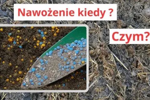 Nawóz Bontar kiedy stosować - najlepsze czasy na skuteczne nawożenie