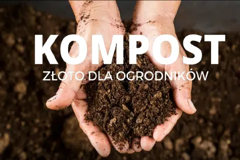 Jak długo robi się kompost? Poznaj czynniki wpływające na czas kompostowania