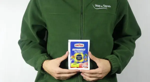 Osoba w zielonej bluzie trzyma opakowanie środka grzybobójczego SYLLIT. Preparat przeznaczony jest do ochrony drzew owocowych.
