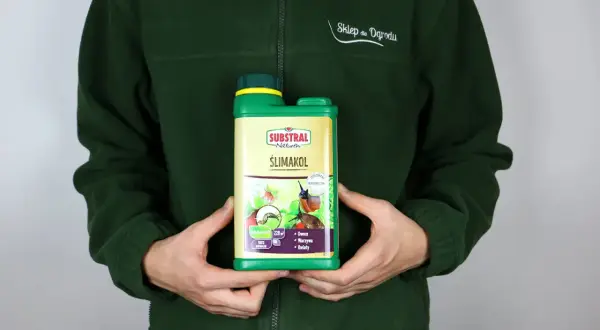 Osoba w zielonej bluzie trzyma butelkę preparatu Ślimakol, który chroni owoce, warzywa i kwiaty przed ślimakami.