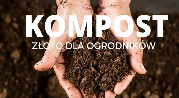 Jak długo robi się kompost? Poznaj czynniki wpływające na czas kompostowania