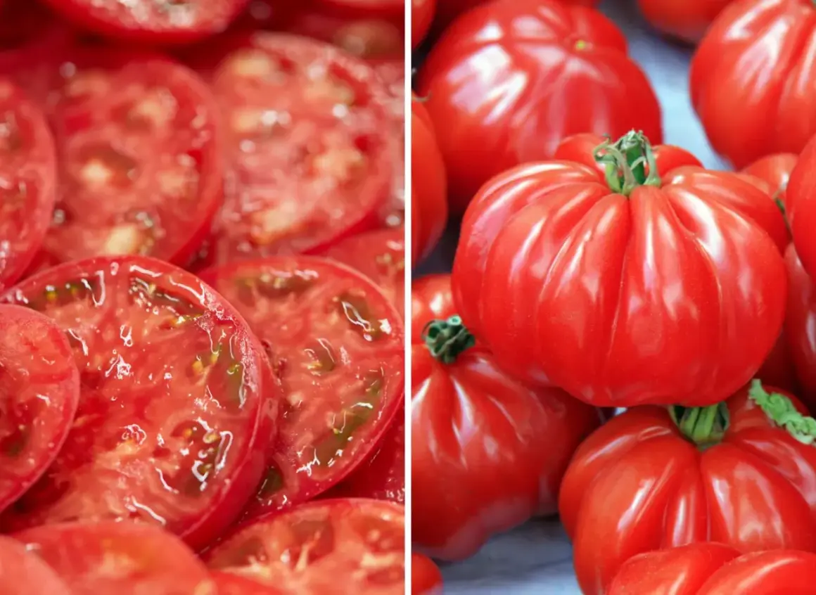Plasterki soczystego pomidora Marmande obok całych, karbowanych owoców. Idealne do sałatek i kanapek.