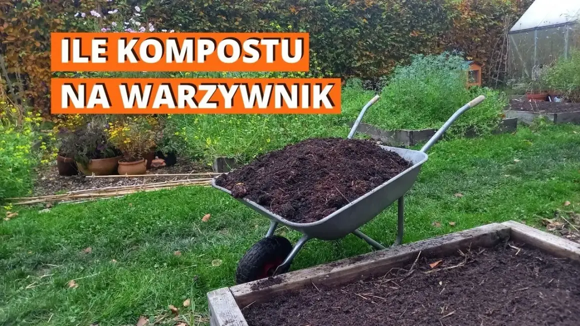 Ile kompostu do ziemi? Kluczowe wskazówki dla zdrowego ogrodu