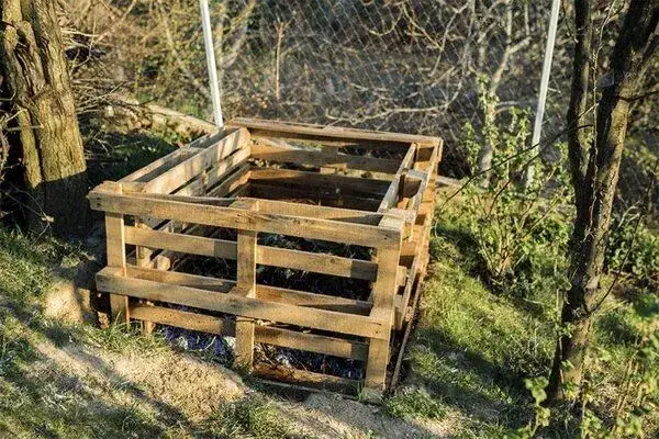 Zdjęcie Jak zrobić kompost ze słomy – unikaj najczęstszych błędów i zyskaj zdrową glebę