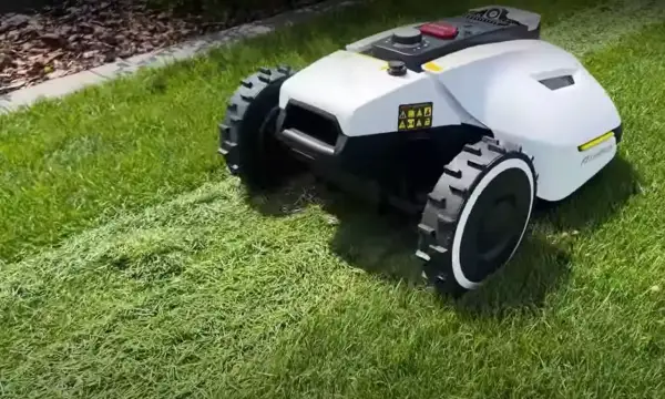 Robot koszący wykonuje mulczowanie trawy, pozostawiając drobno skoszoną trawę jako naturalny nawóz.