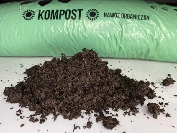 Gdzie kupić kompost na tony? Sprawdź najlepsze oferty i ceny